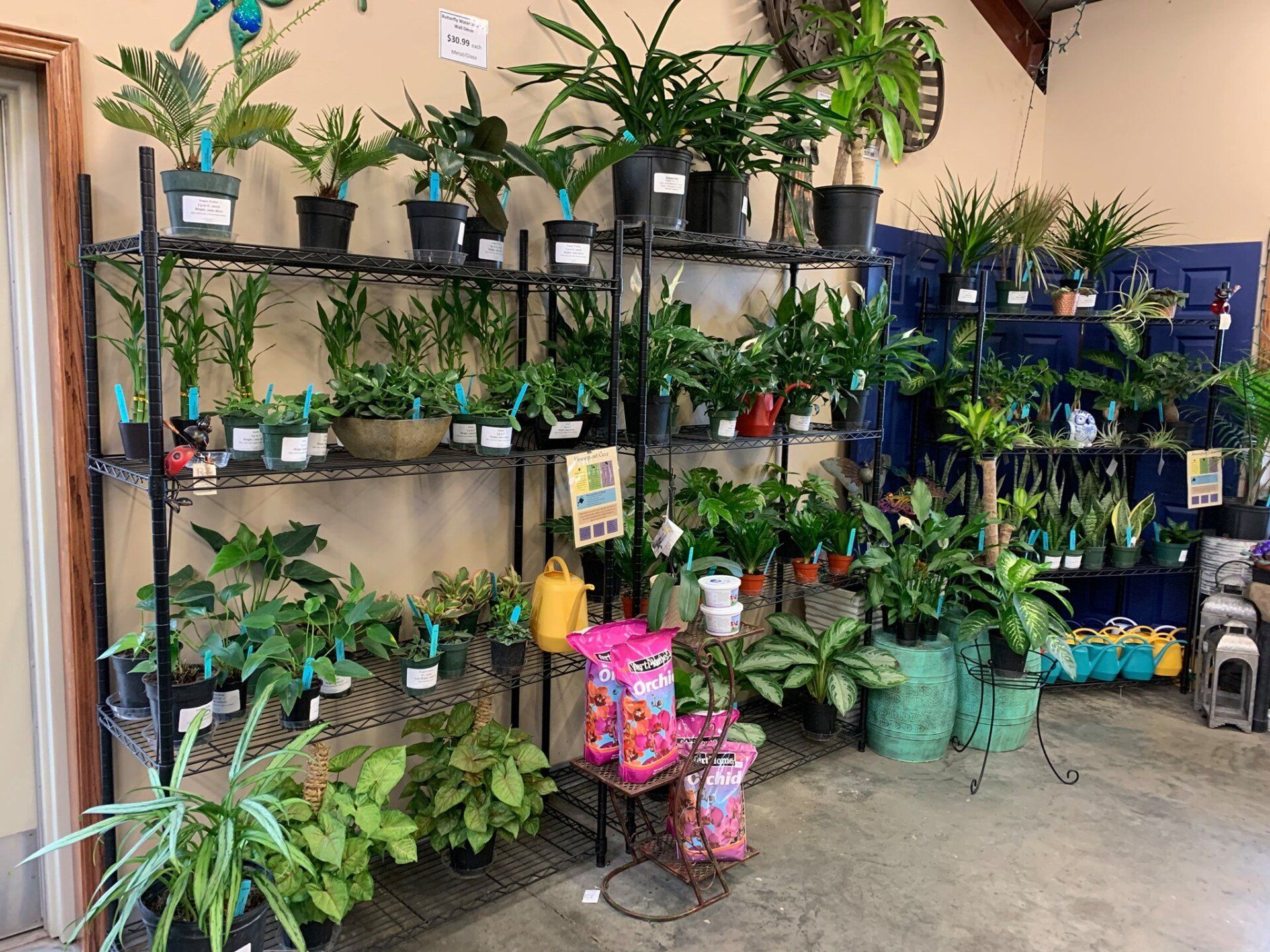 A room filled with lots of potted plants on shelves.