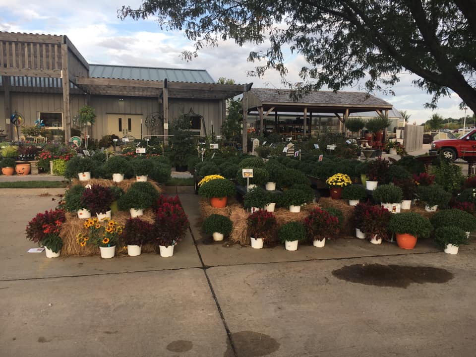 A bunch of potted plants are in front of a building