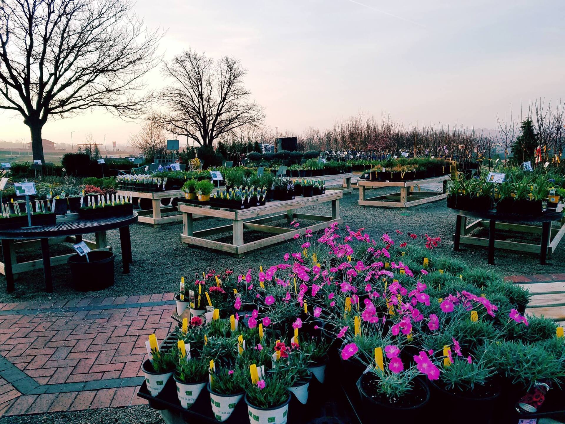 A garden filled with lots of potted plants and flowers.