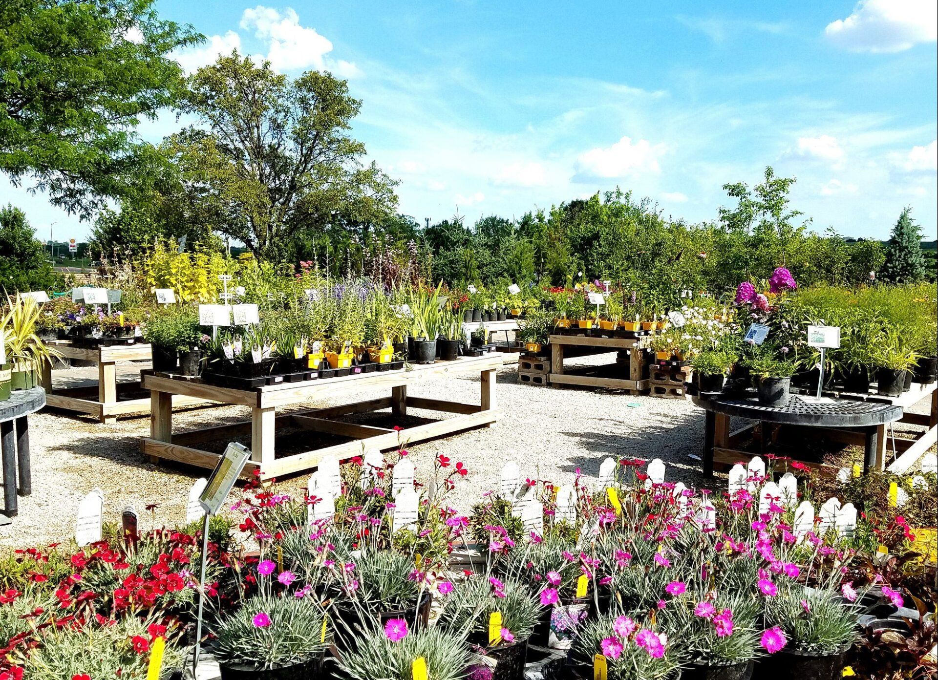 A garden center filled with lots of potted plants and flowers.