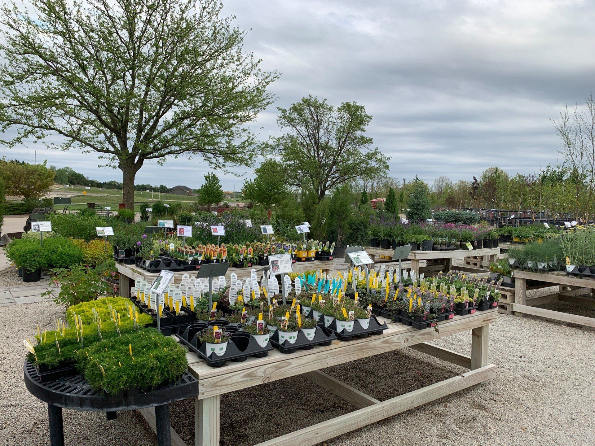 A table filled with lots of potted plants in a garden center.