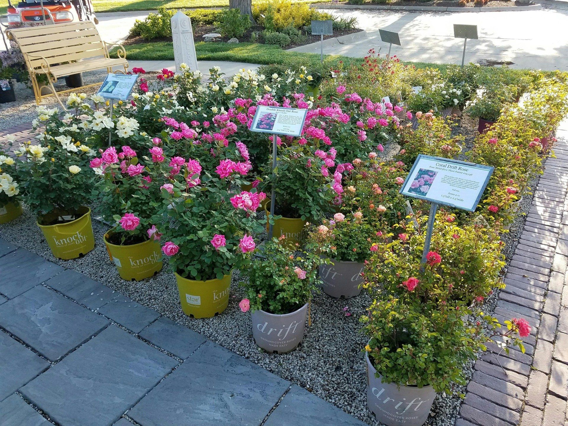 A bunch of potted plants are sitting on a brick sidewalk.