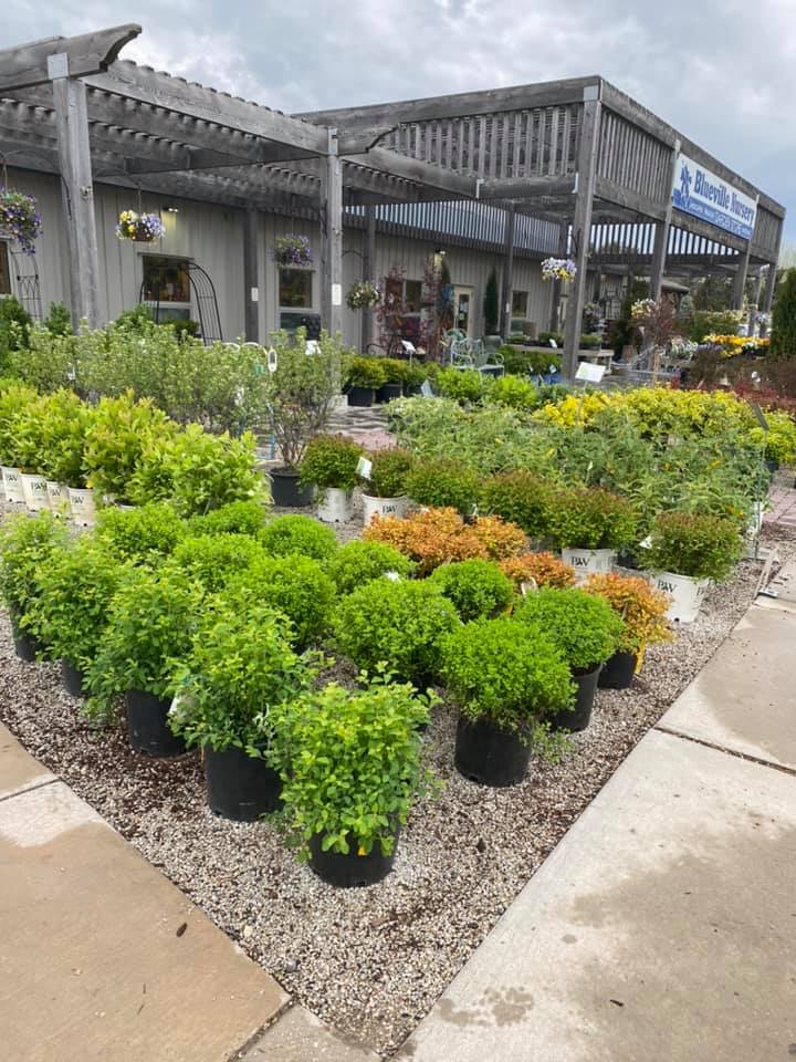 A garden center with lots of potted plants in front of a building.