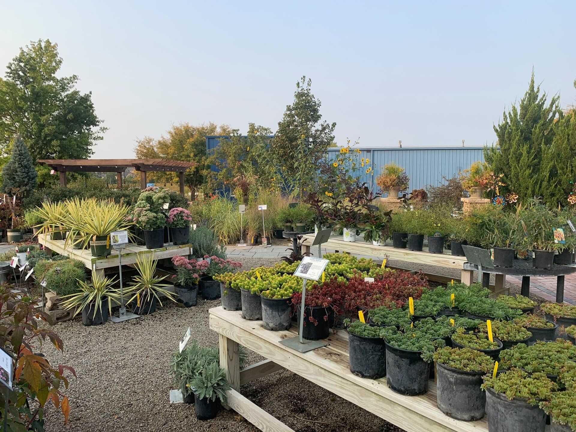 A garden center filled with lots of potted plants and trees.