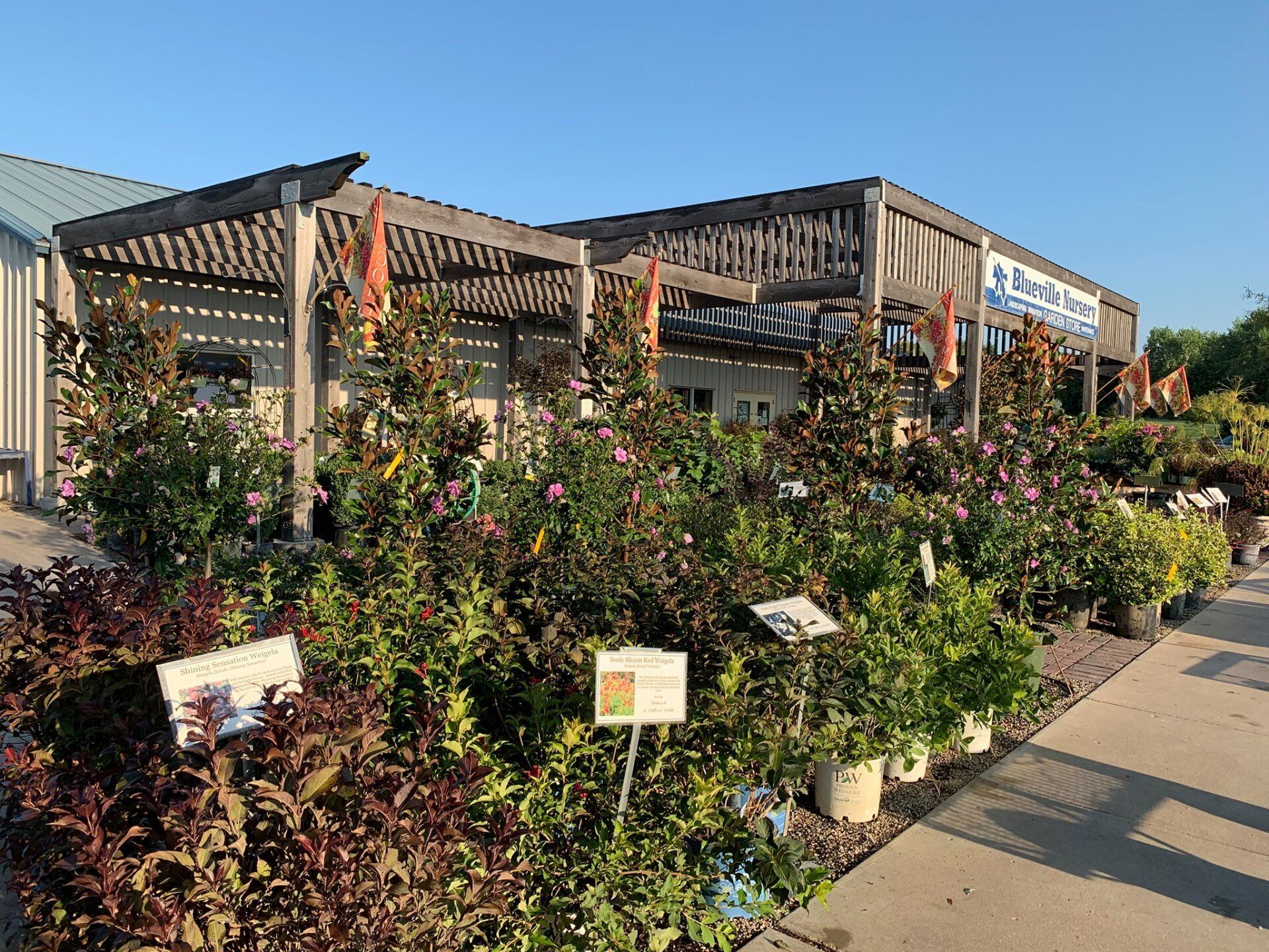 A garden center filled with lots of potted plants and flowers.