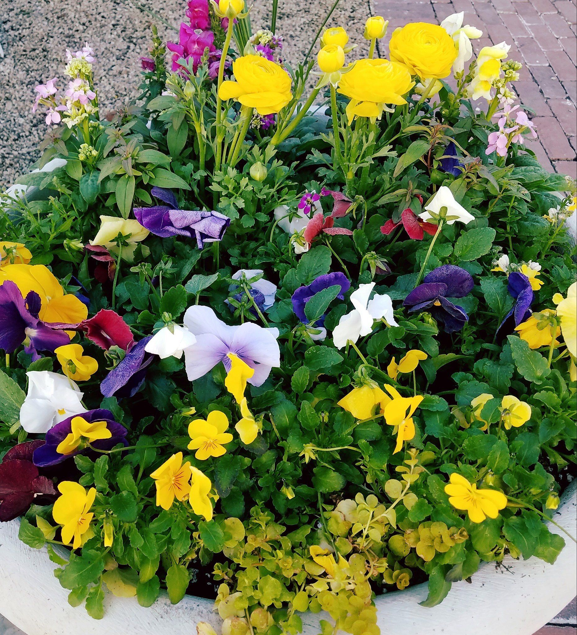 A planter filled with purple yellow and white flowers