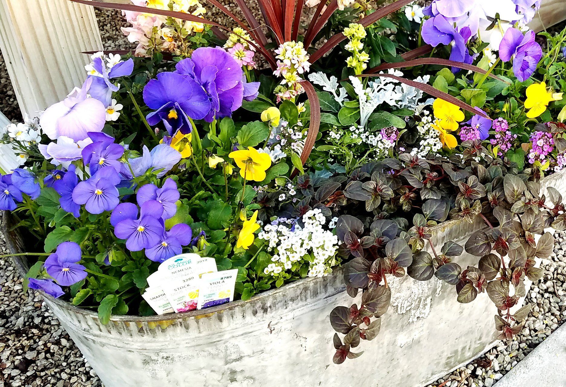 A planter filled with purple , yellow , and white flowers.