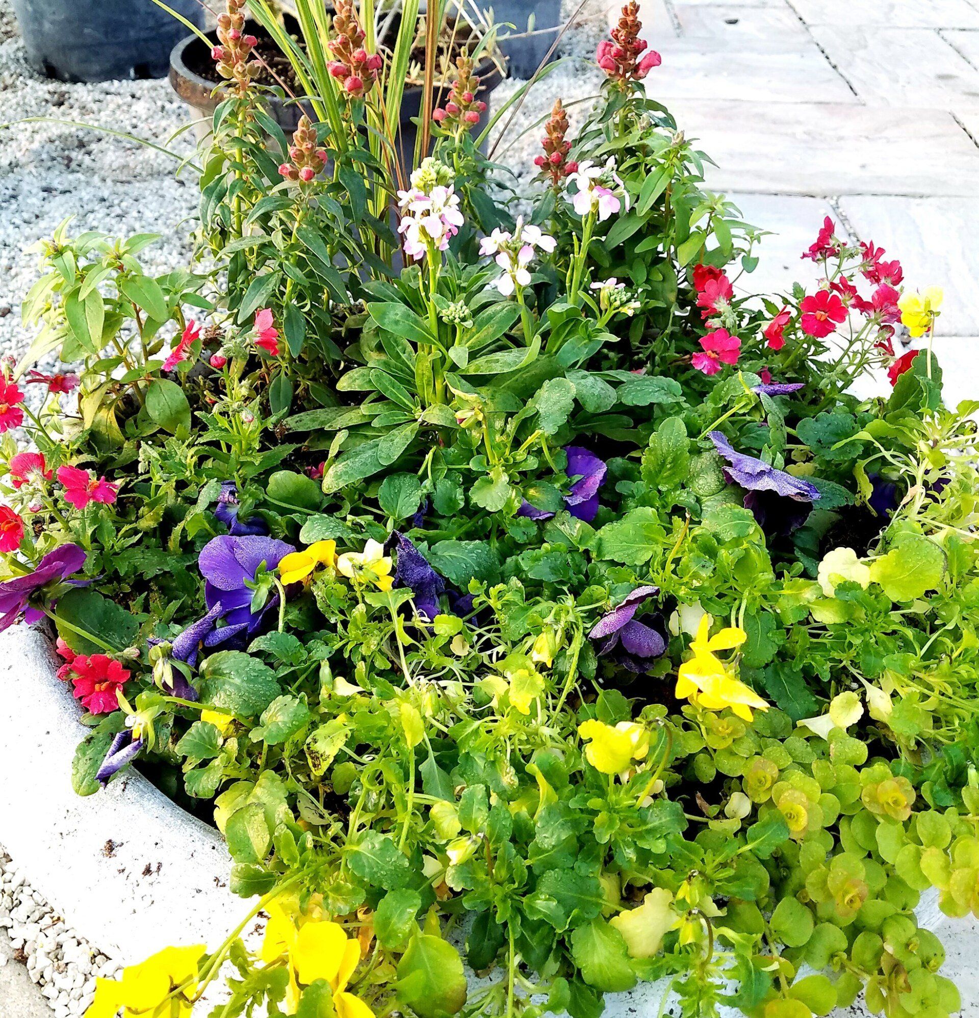 A planter filled with lots of flowers and plants