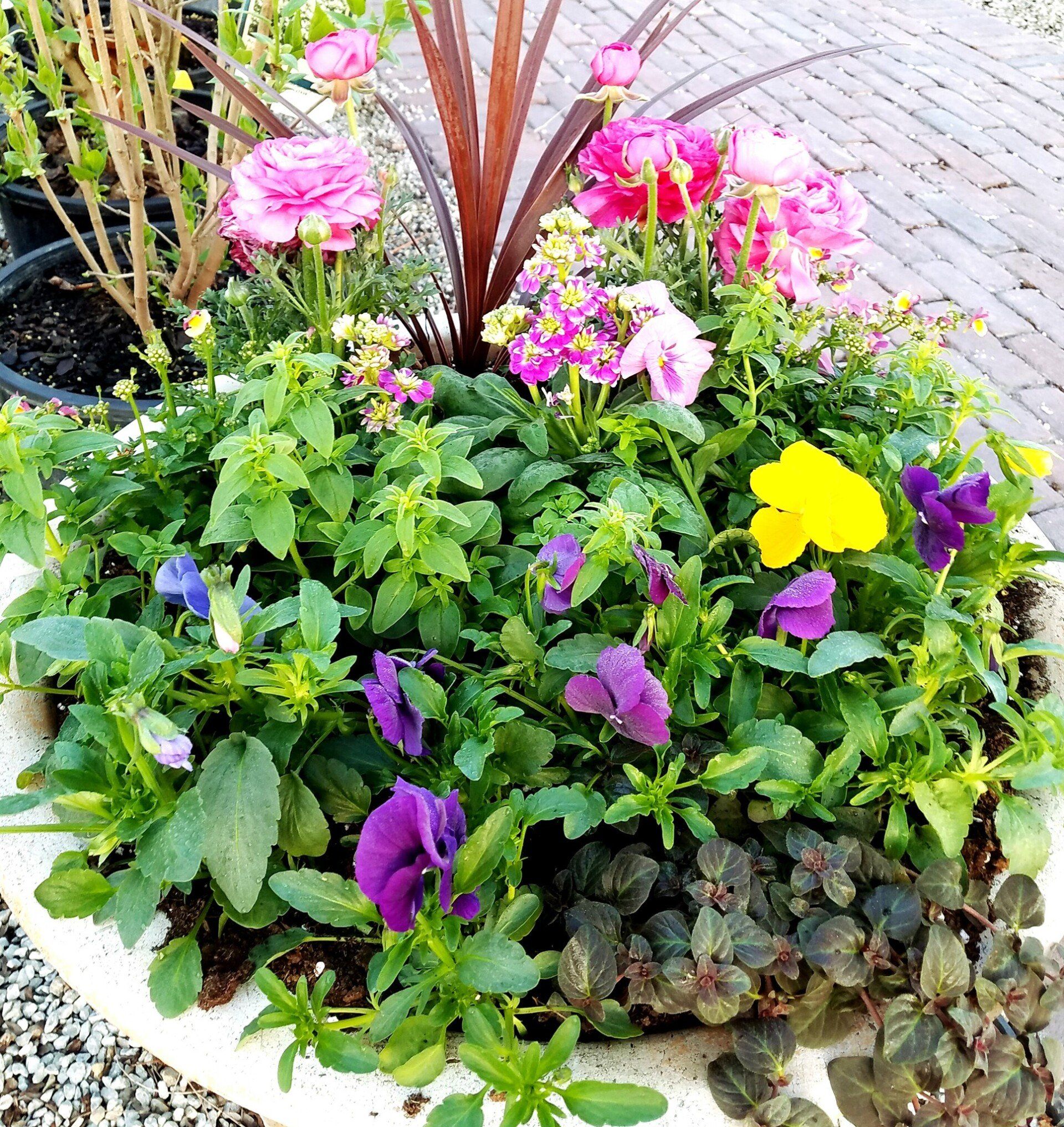 A planter filled with purple and yellow flowers and green leaves
