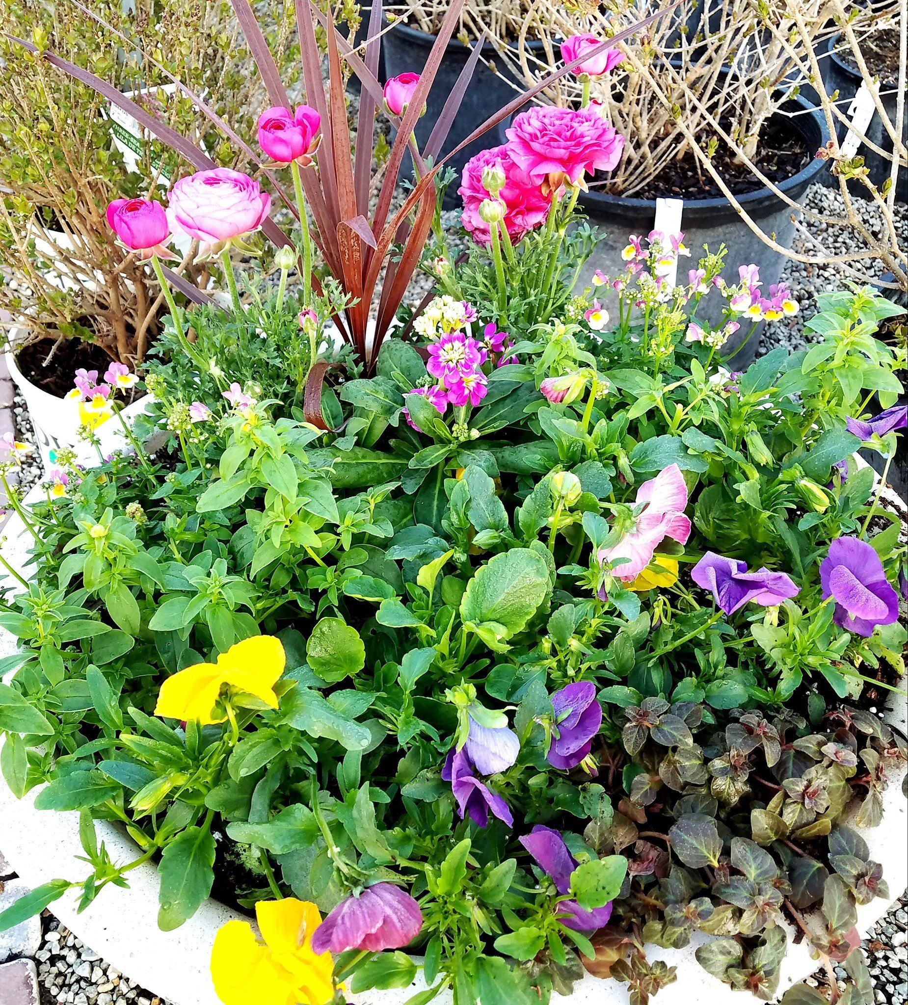 There are many different types of flowers in this pot.