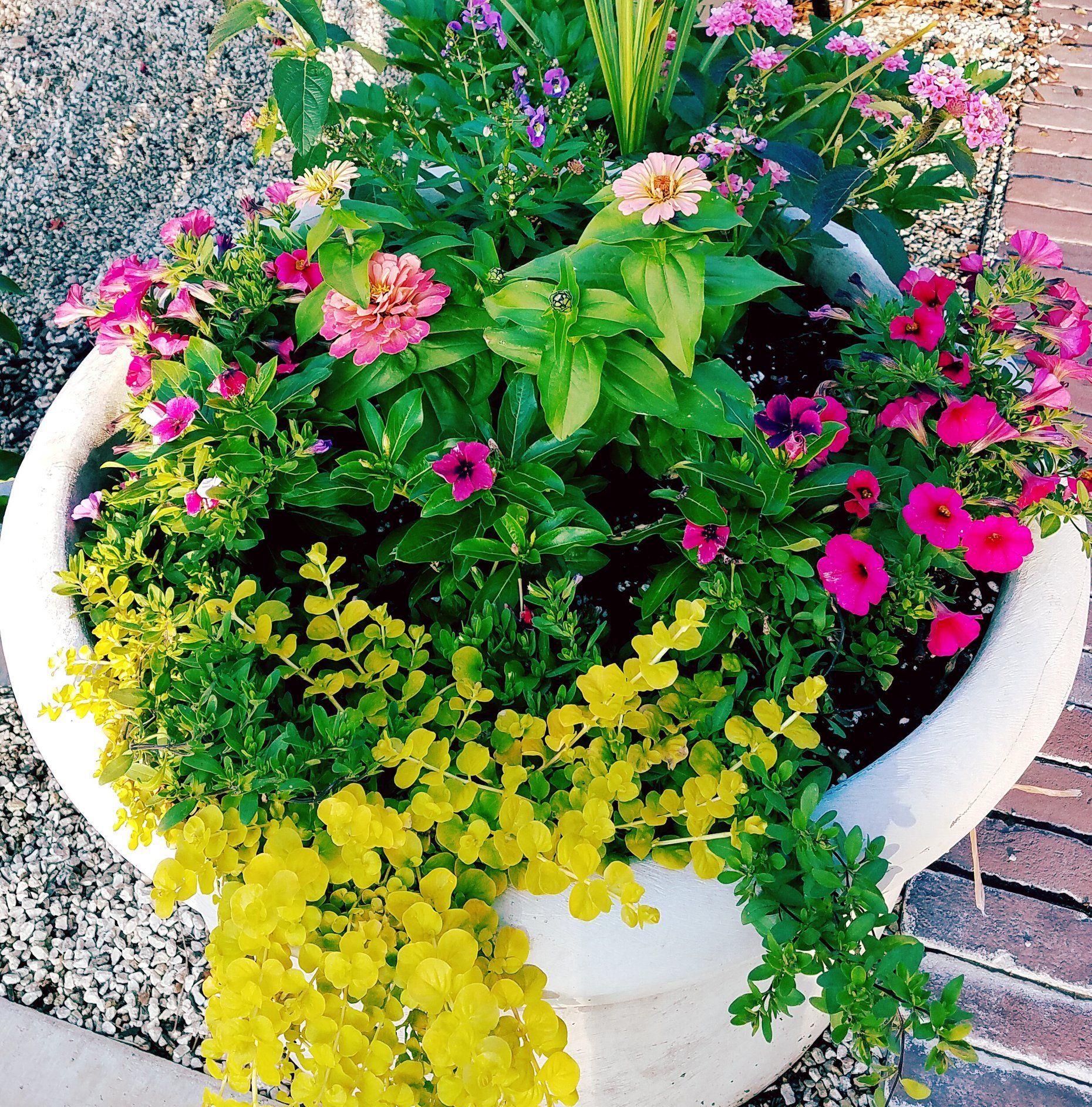 A white pot filled with pink and yellow flowers