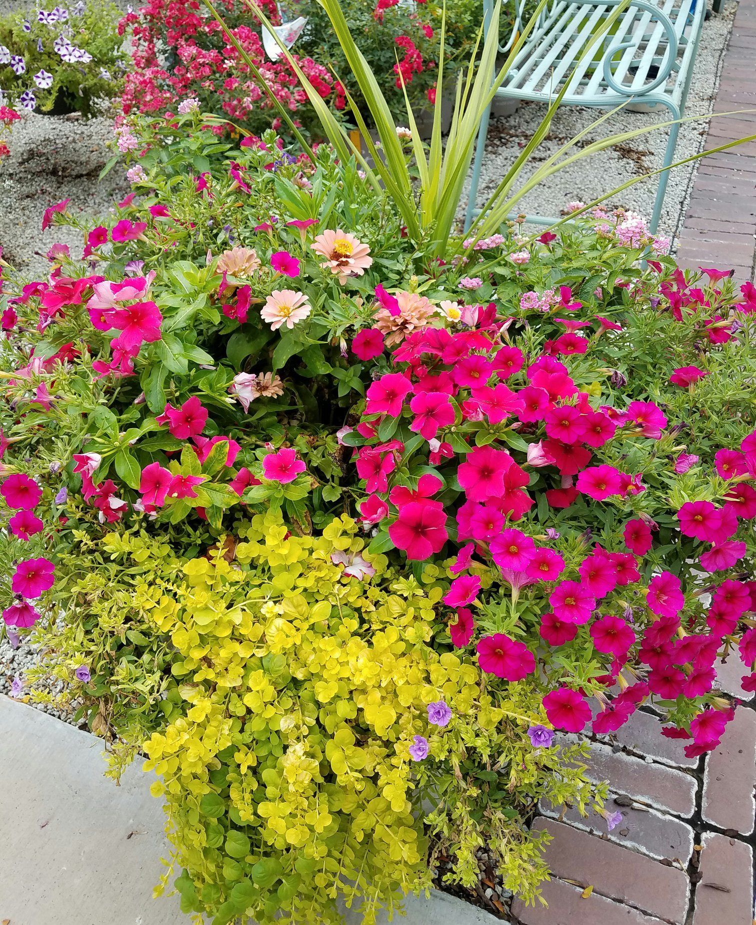 A planter filled with pink and yellow flowers is sitting on a sidewalk next to a bench.