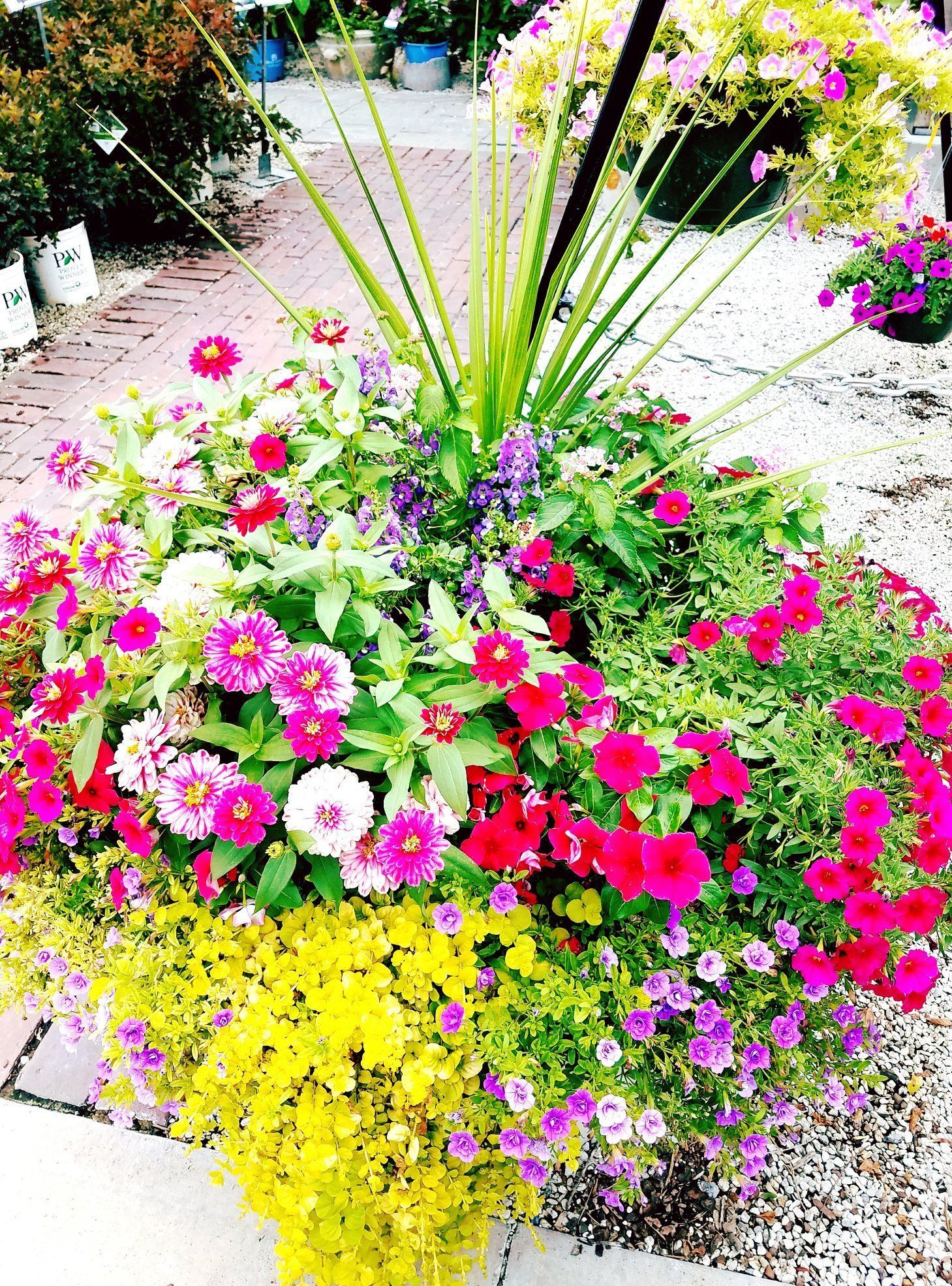 A planter filled with lots of different types of flowers.