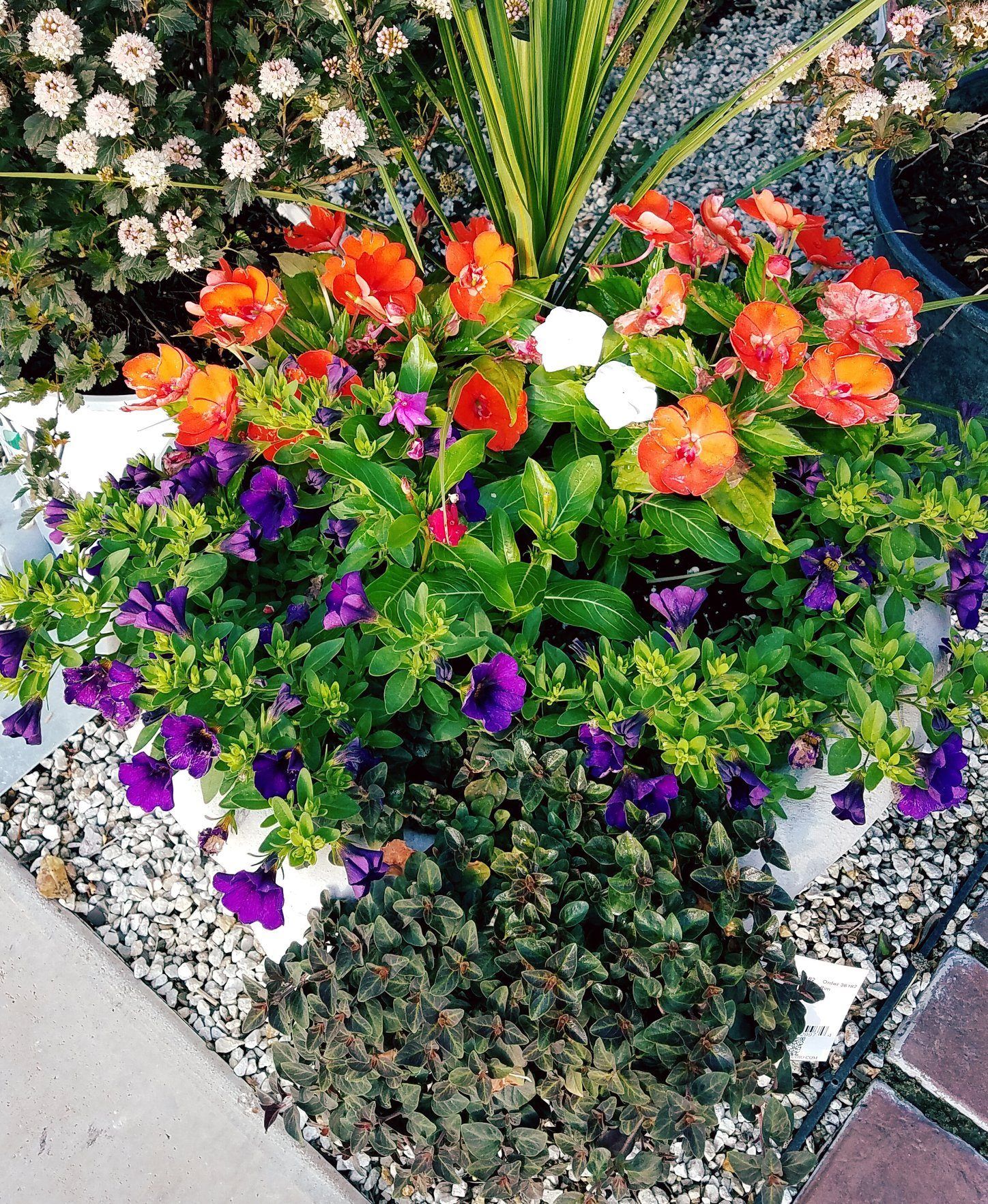 A planter filled with purple and orange flowers