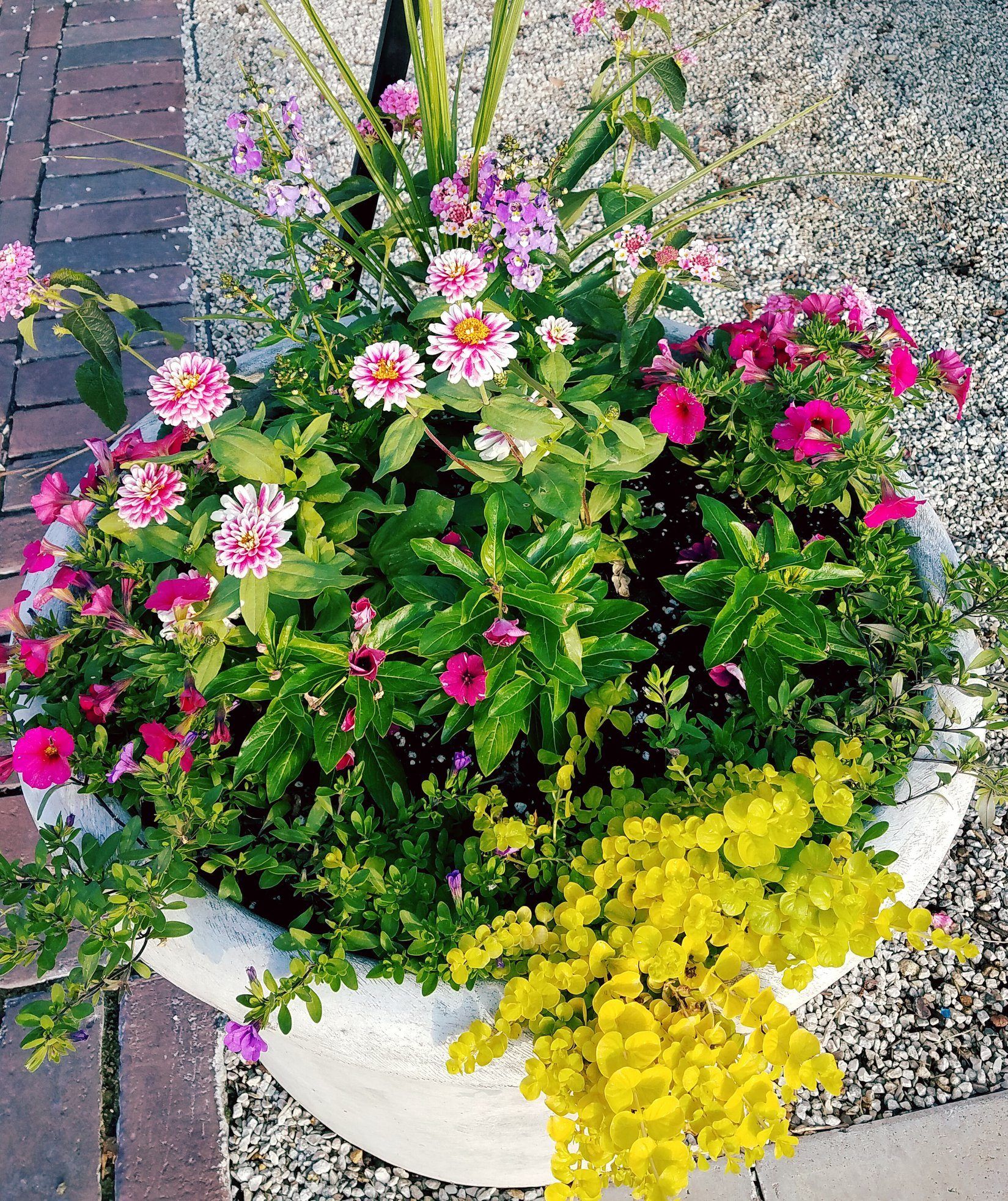 A white pot filled with pink and yellow flowers