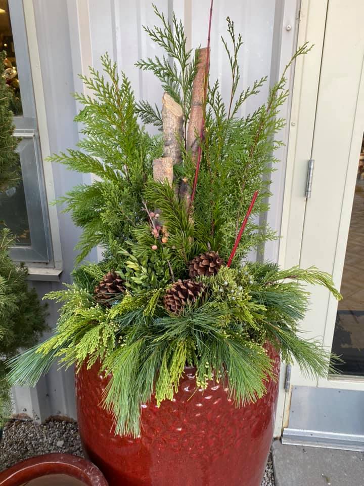 A red pot filled with lots of green plants and pine cones.