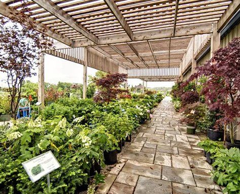 A walkway filled with lots of potted plants under a pergola.