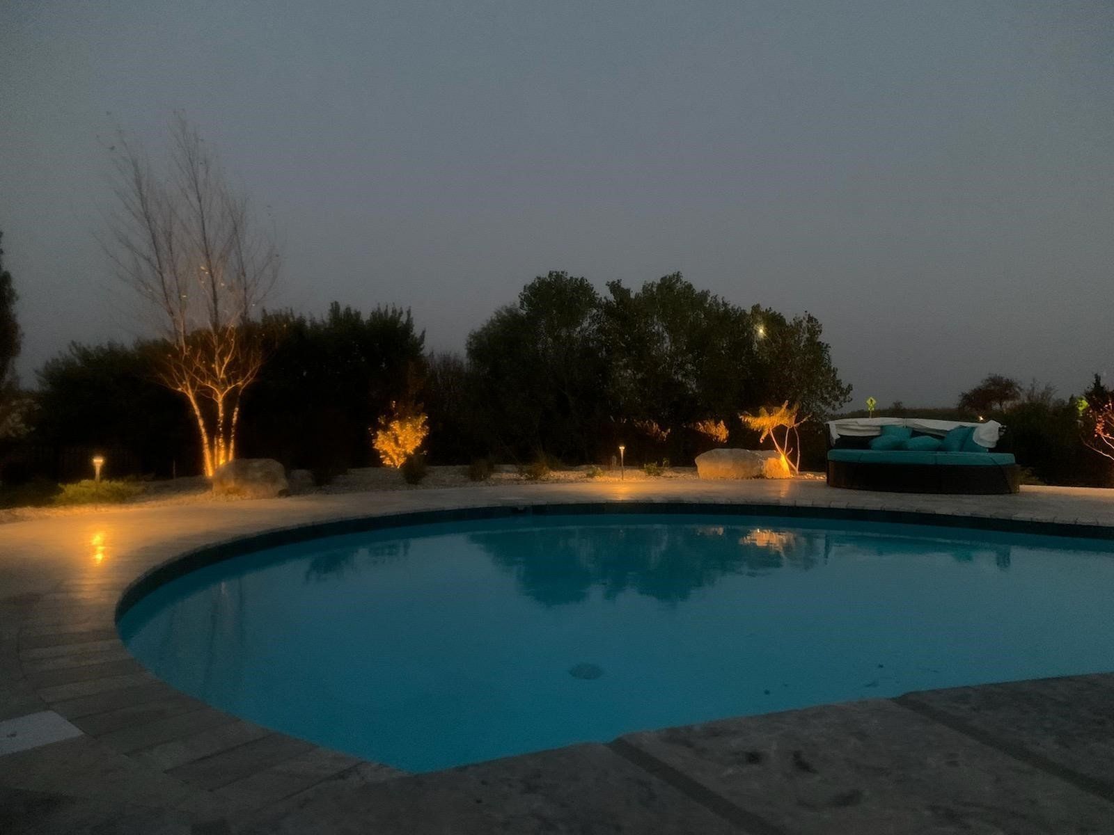 A large swimming pool is lit up at night with trees in the background.