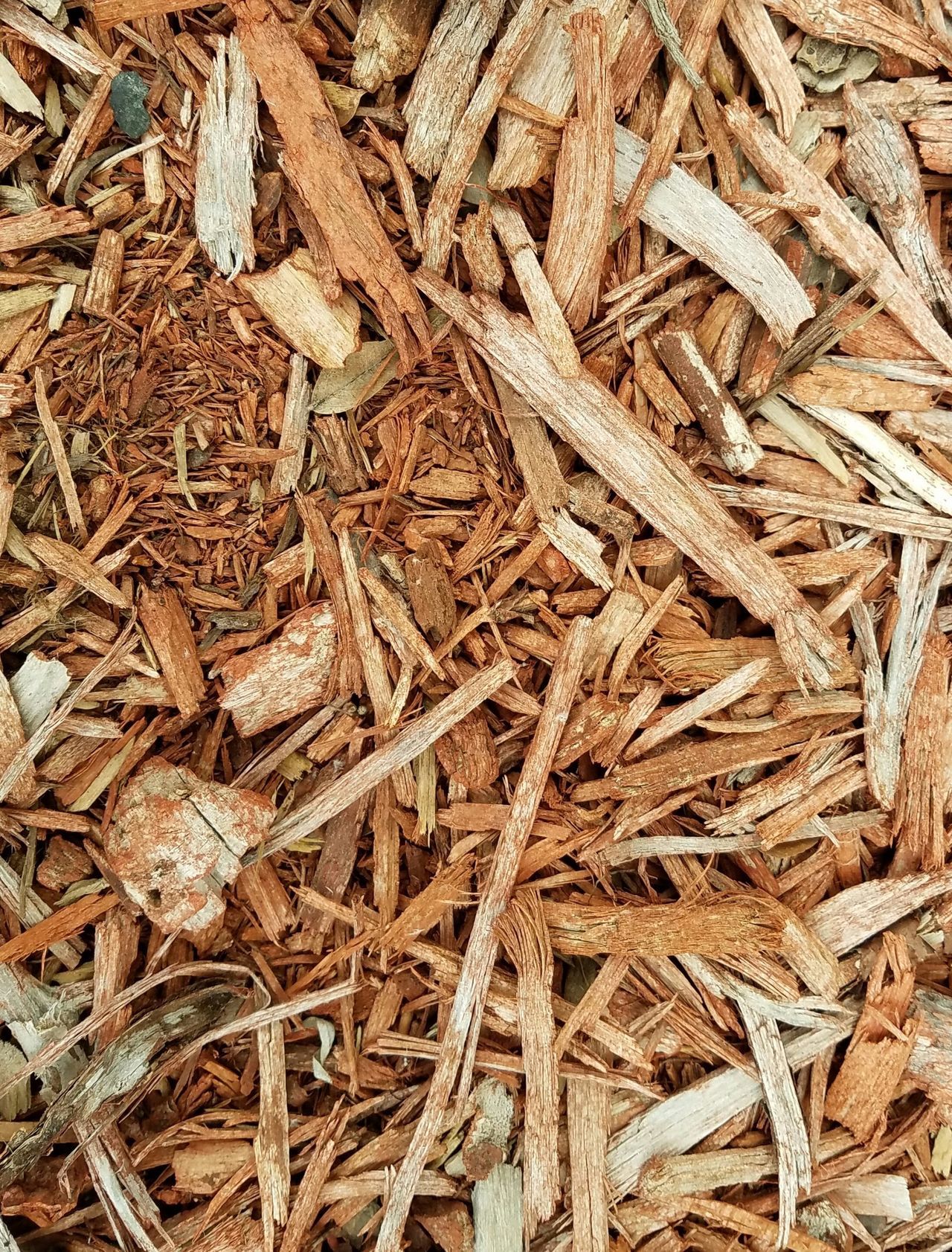 A pile of wood chips is sitting on the ground.
