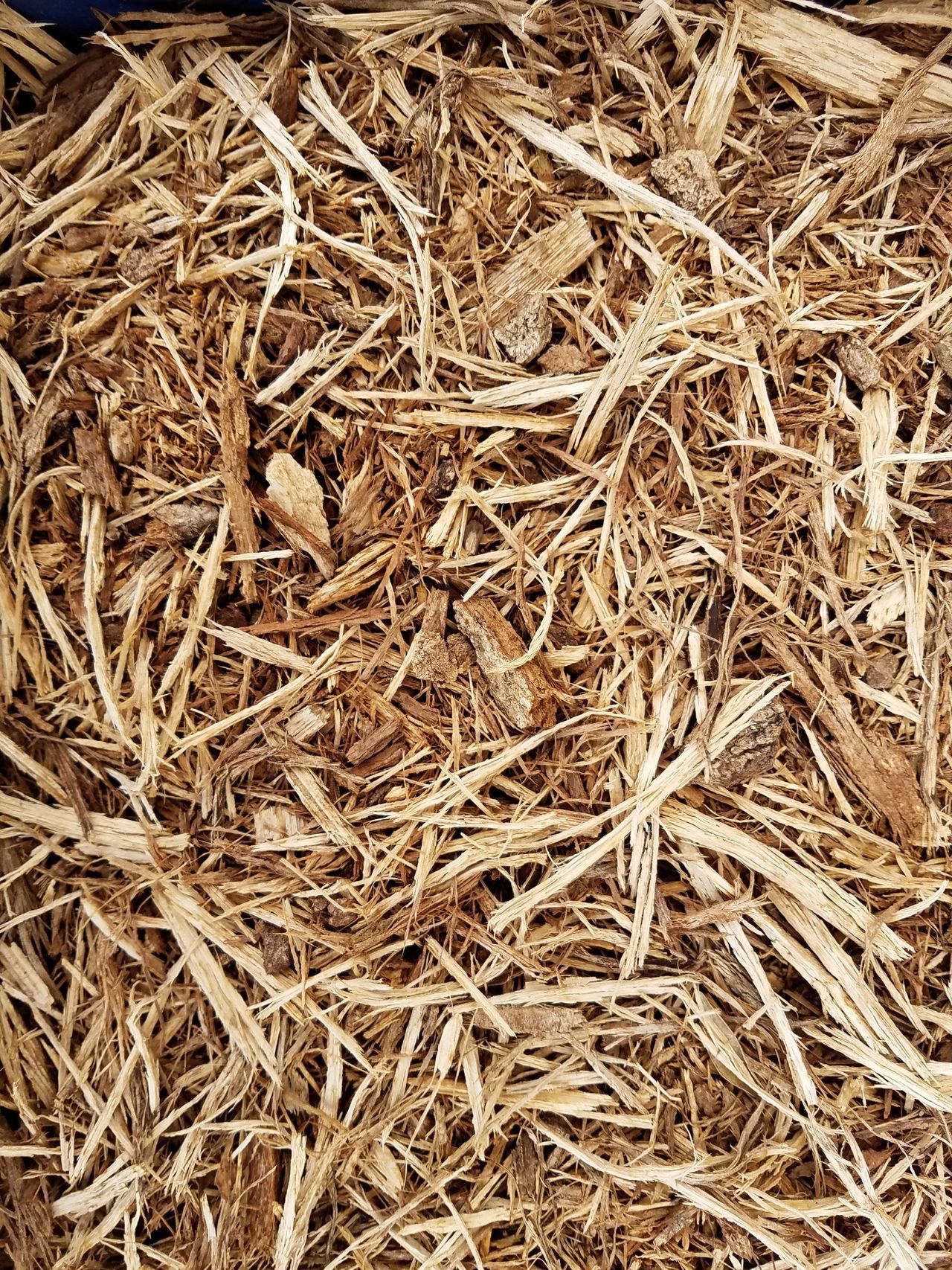 A pile of wood chips is sitting on the ground.