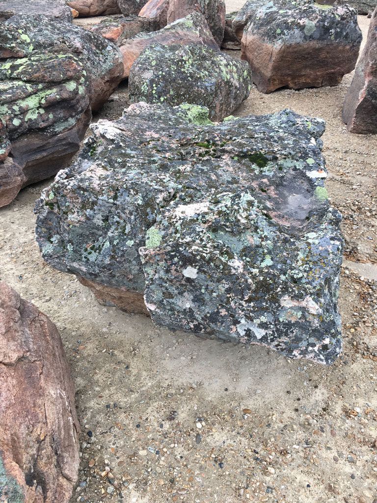 Lichen sandstone