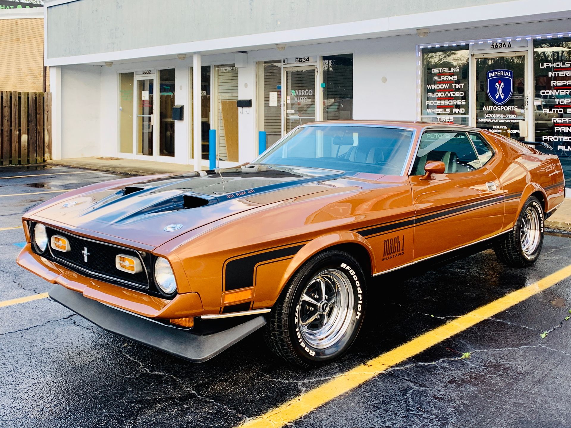 A mustang is parked in a parking lot in front of a building