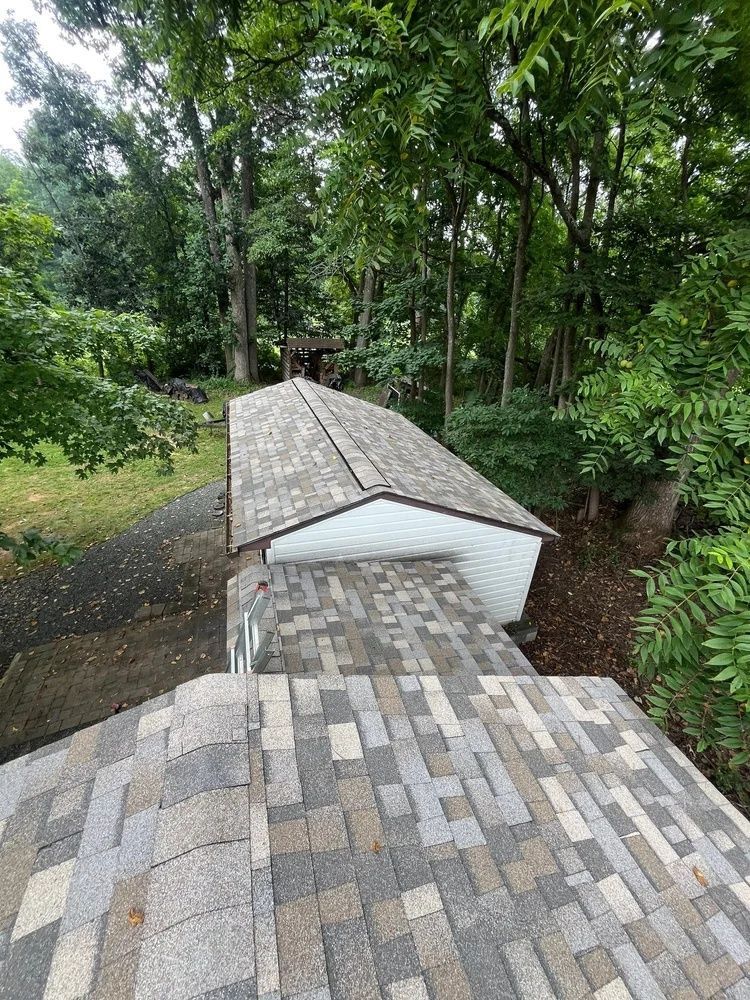 Stone steps leading into a lush green forest from a tiled rooftop walkway