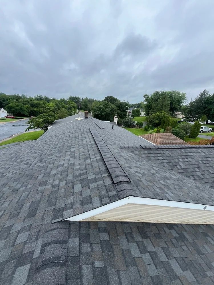 Gray shingled roof with a chimney under cloudy sky, surrounded by trees and neighboring houses