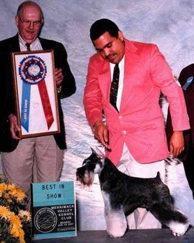 A handler stands with a black and silver schnauzer, while a man holds a red, white, and blue Best in Show award ribbon.