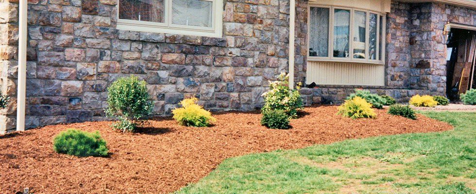 Well mulched landscape