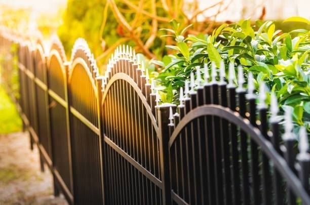 A close up of a black metal fence with plants in the background.