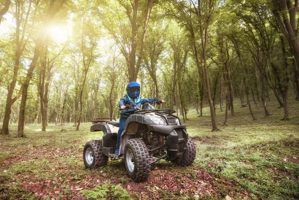 Person on ATV in a forest with sunlight shining through trees.