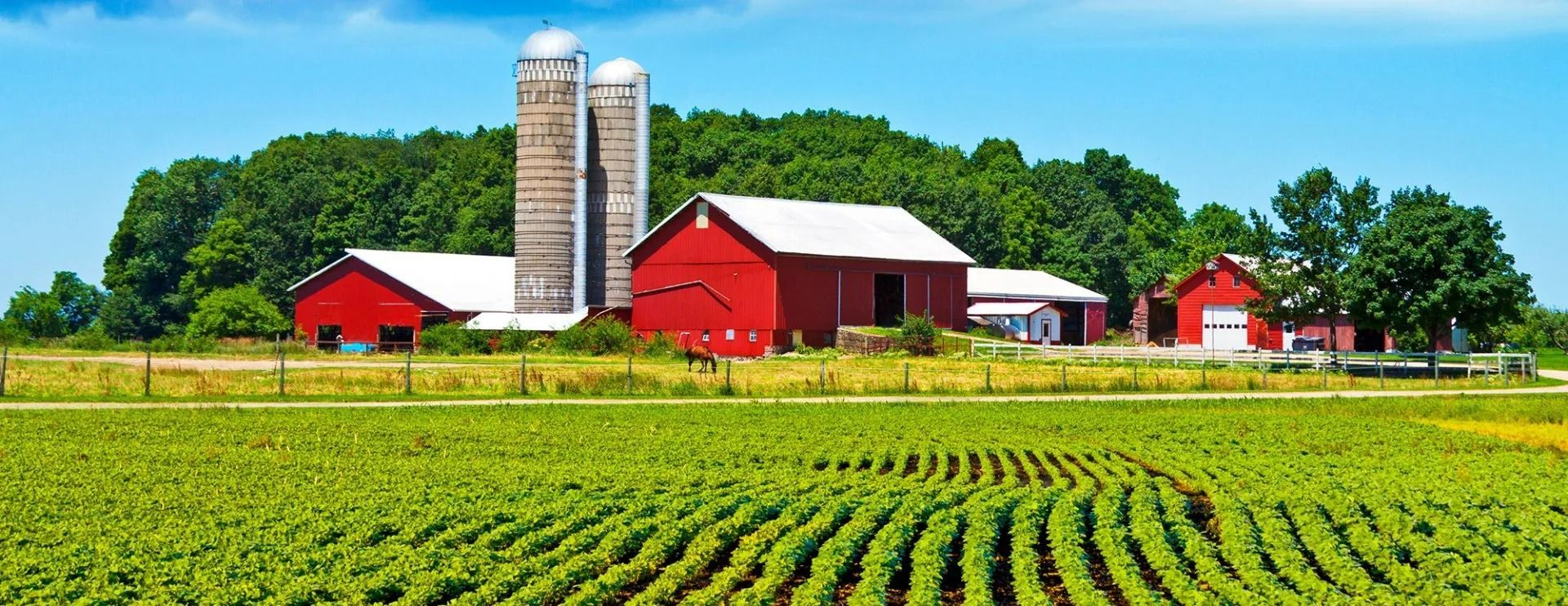 A red barn with silos and crops under a blue sky on a sunny day.