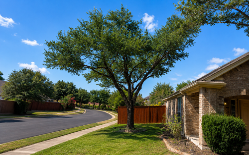 Suburban street with a tree-lined curb, brick house, wooden fence, and bright blue sky