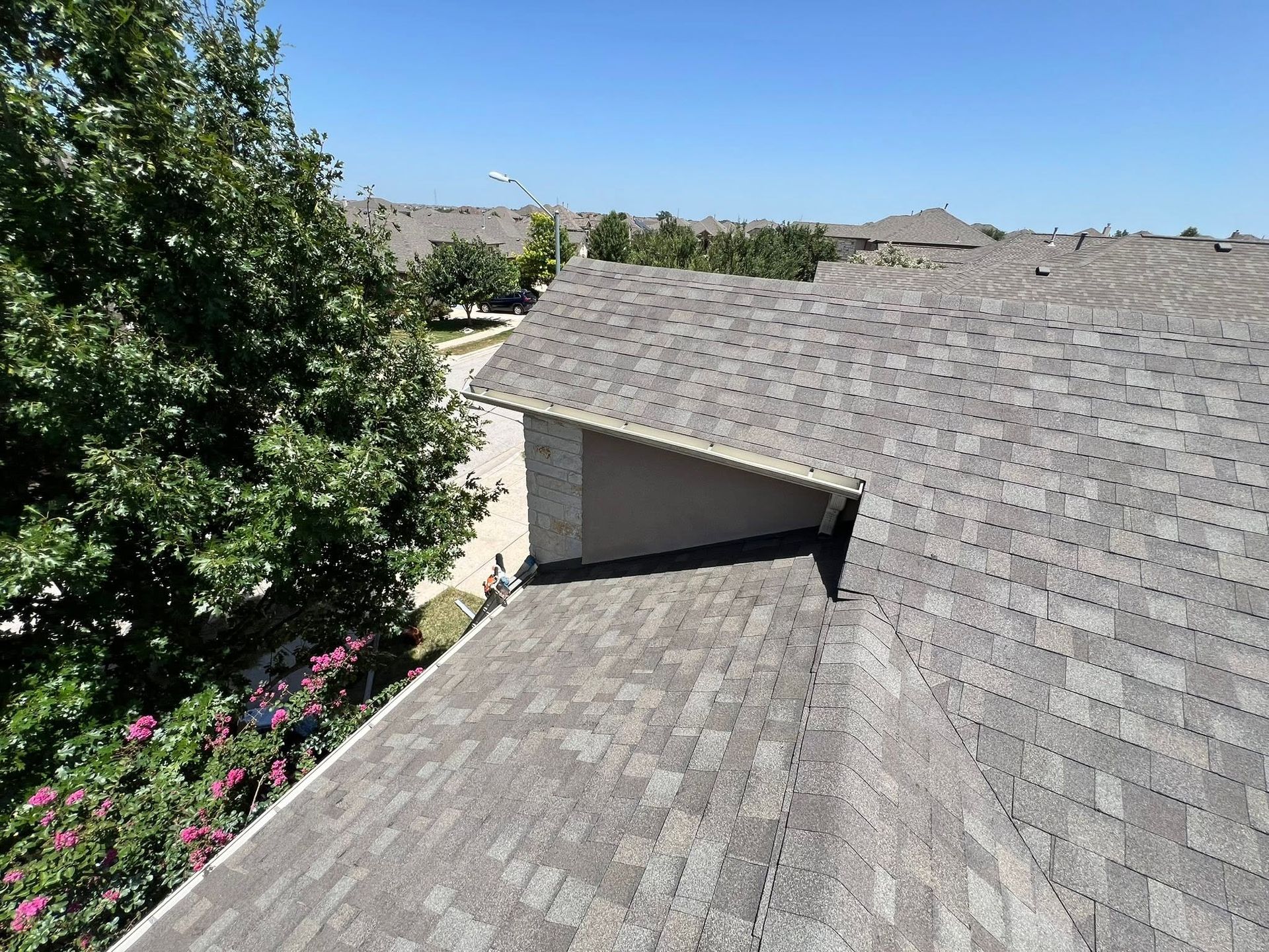 Rooftop view of gray shingles beside a leafy tree and pink flowers on a sunny day