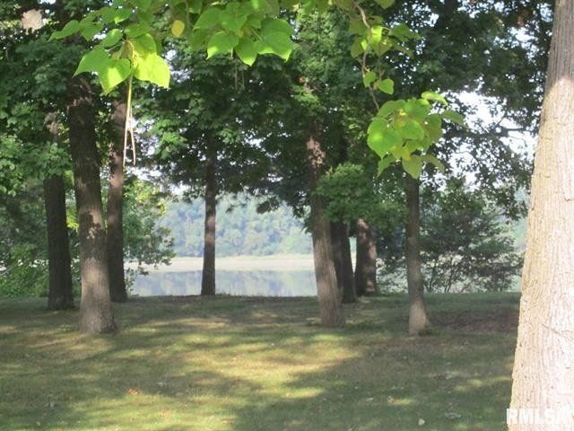 Trees in a park with a lake in the background