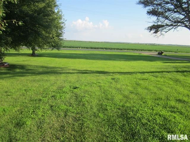Green field with trees under a blue sky, distant road and crop fields.