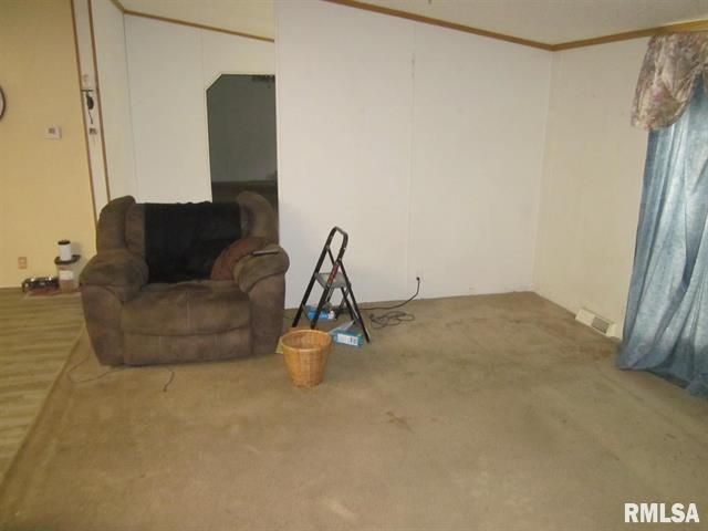 A living room with a brown armchair, ladder, and worn carpet