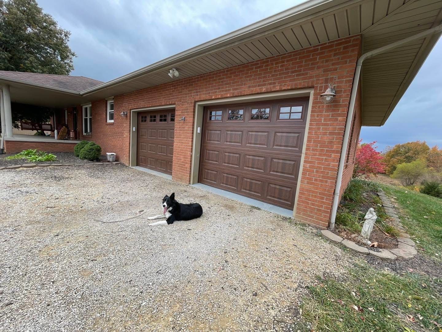 A black and white dog rests on gravel in front of a brick garage with two brown garage doors.