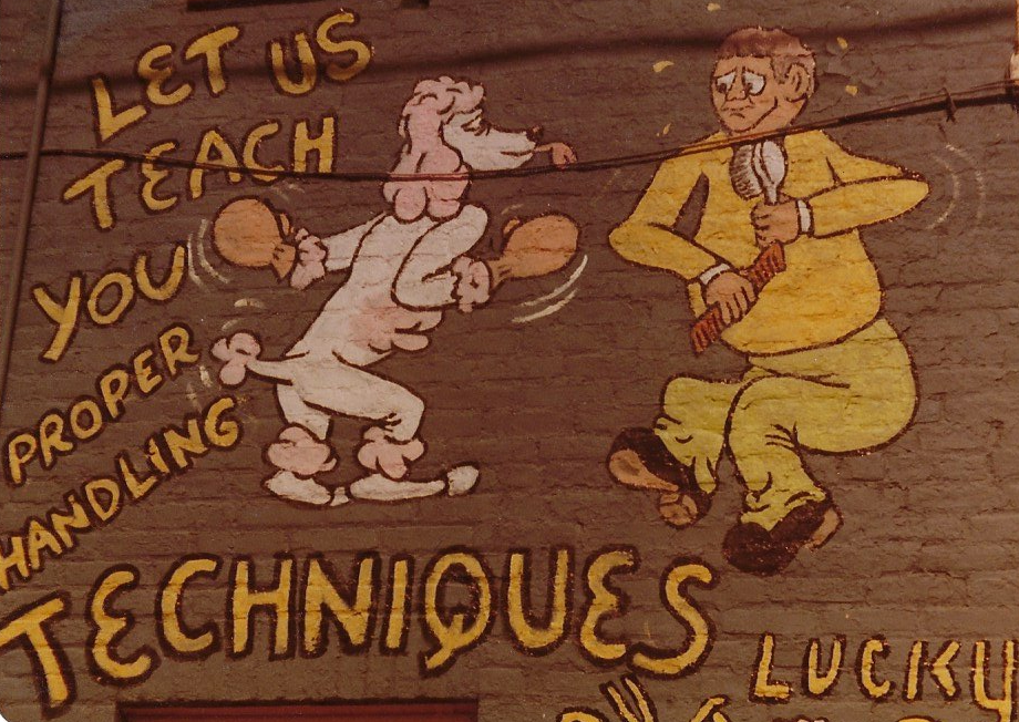 Lucky 3 Dog & Cat Grooming Pet Grooming Baltimore, MD