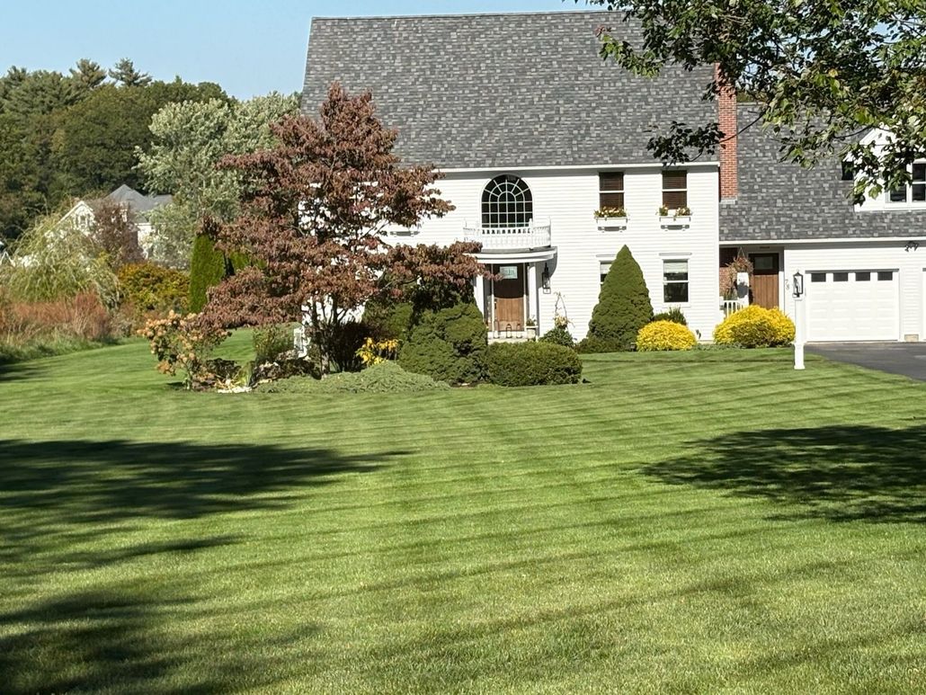 Suburban two-story house with white siding, a green lawn, trees, and a garage on the right.