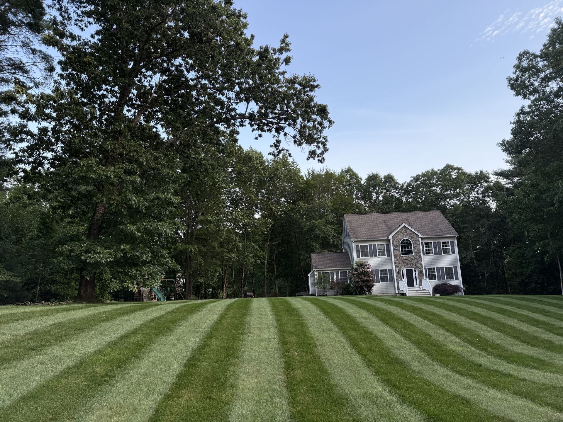 Striped green lawn leading to a white house surrounded by tall trees under a blue sky
