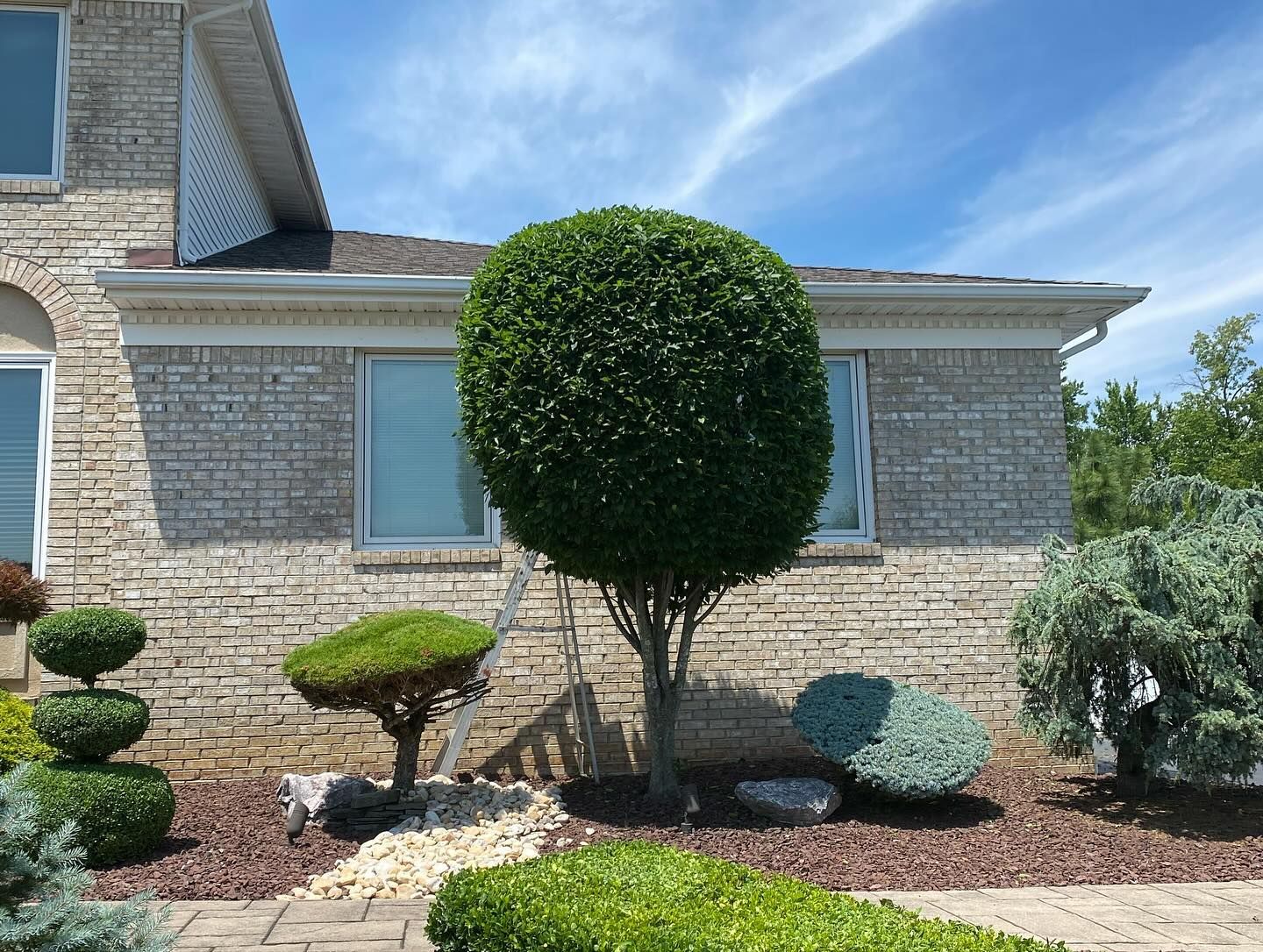 Landscaping Freehold, NJ