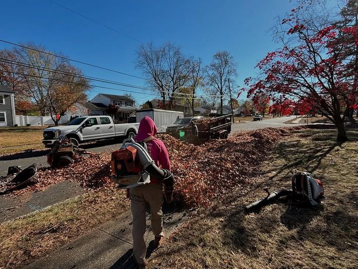 A person is walking down a sidewalk next to a pile of leaves.