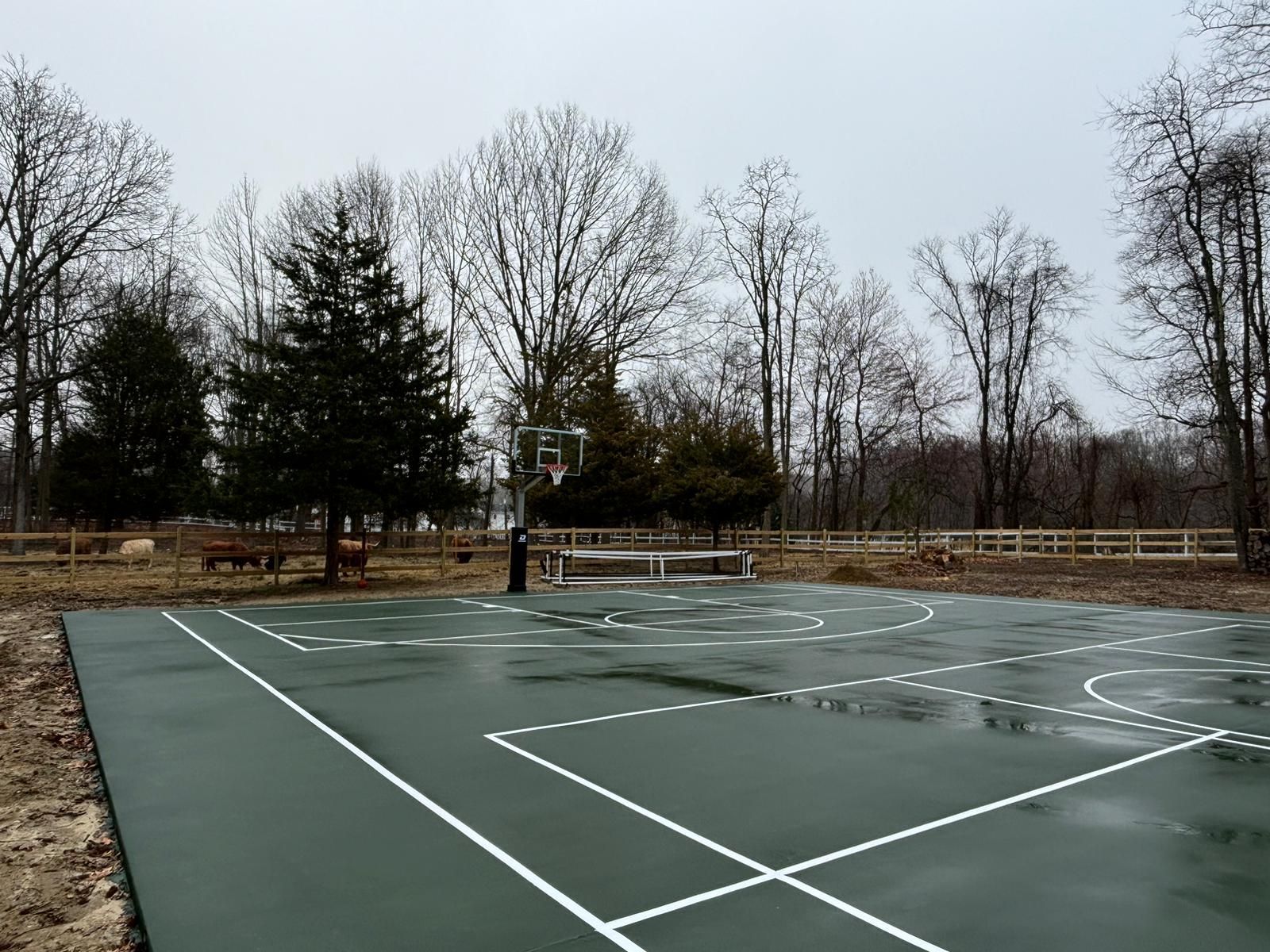 A basketball court in a park with trees in the background