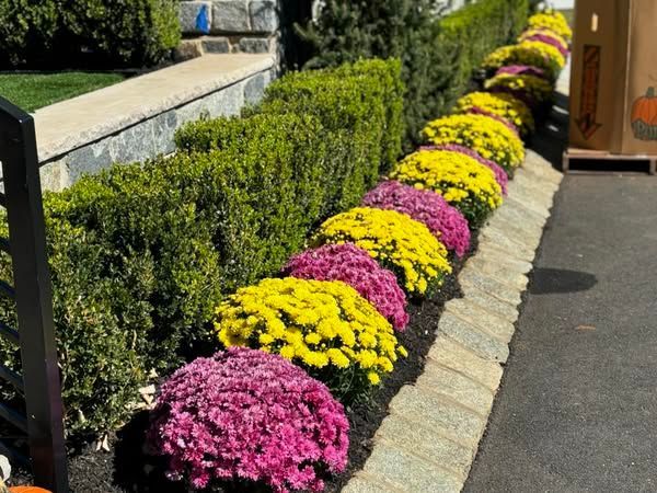 A row of pink and yellow flowers in a garden.