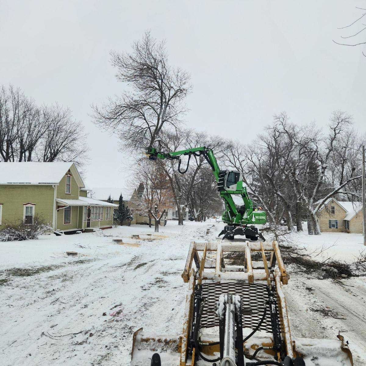 Snowy street scene with a green tree trimming machine working on a bare tree. A skid steer in the foreground.
