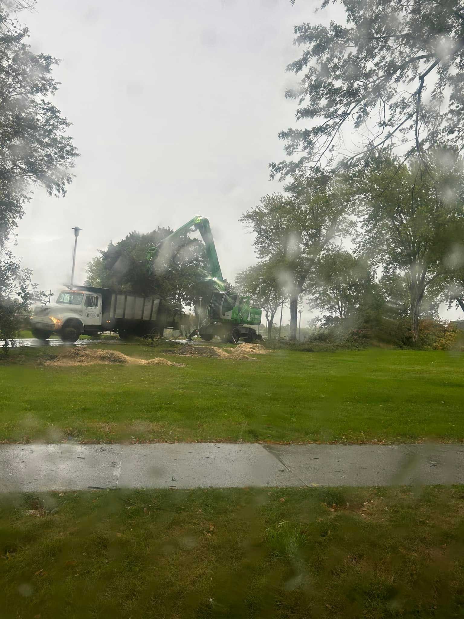 Tree removal in progress with a truck and machinery on a green lawn.