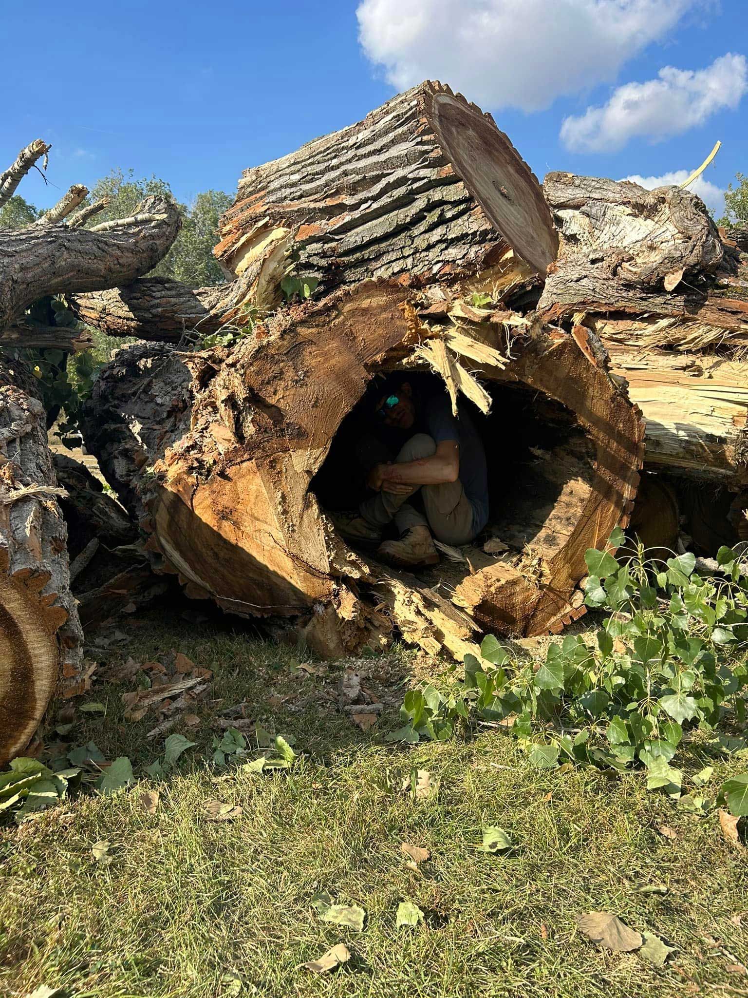 Person crouched inside a hollowed-out log.  Logs are piled on the ground with some greenery.  Blue sky.