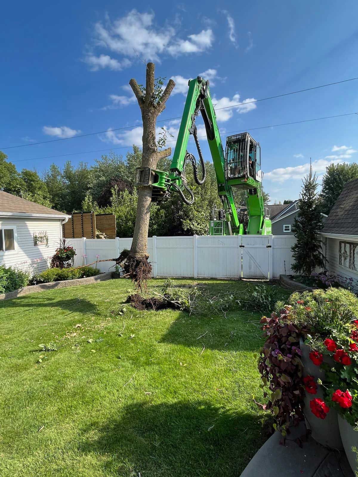 Green tree-cutting machine removing branches from a tall tree in a residential yard. Blue sky and white fence in the background.